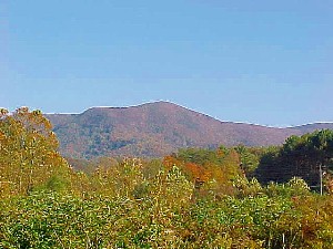 Autumn View